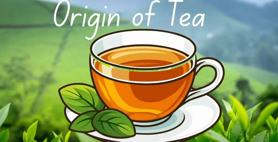 Origin of Tea