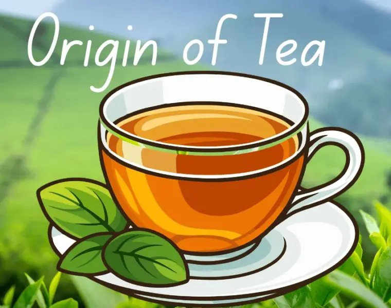 Origin of Tea
