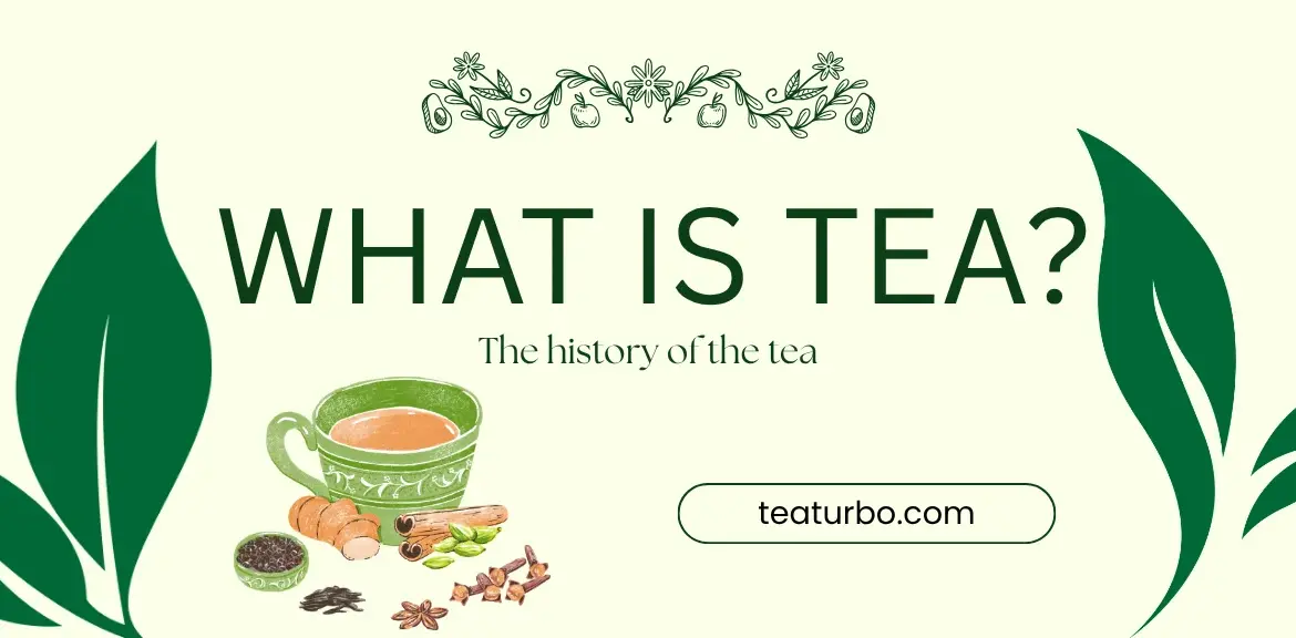 What is the History of Tea? A Complete Beginner Guide