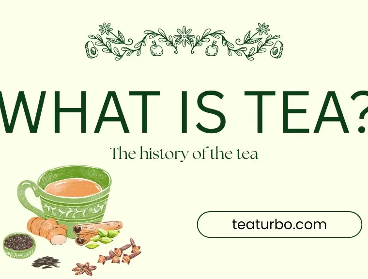 What is the History of Tea? A Complete Beginner Guide