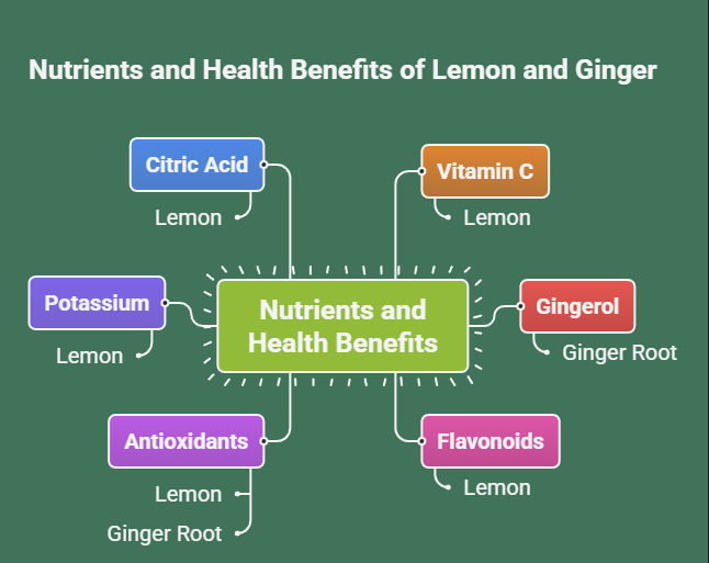 Key Nutrients & Health Benefits