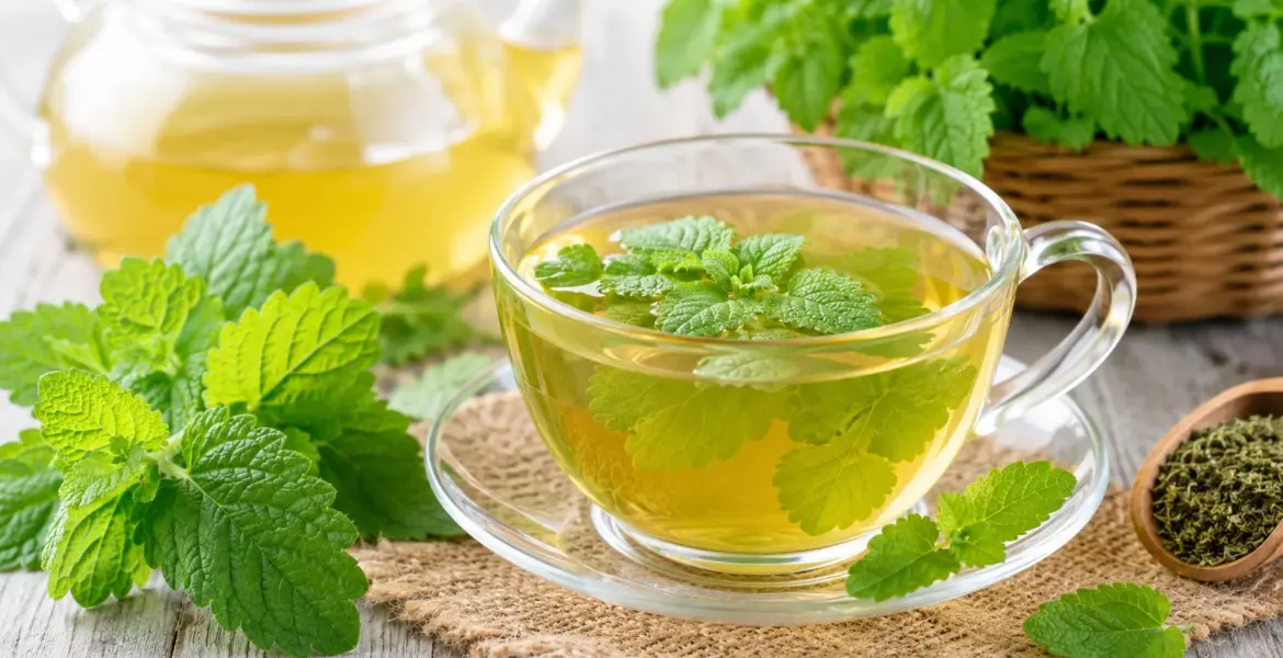 how To Make Lemon Balm Tea