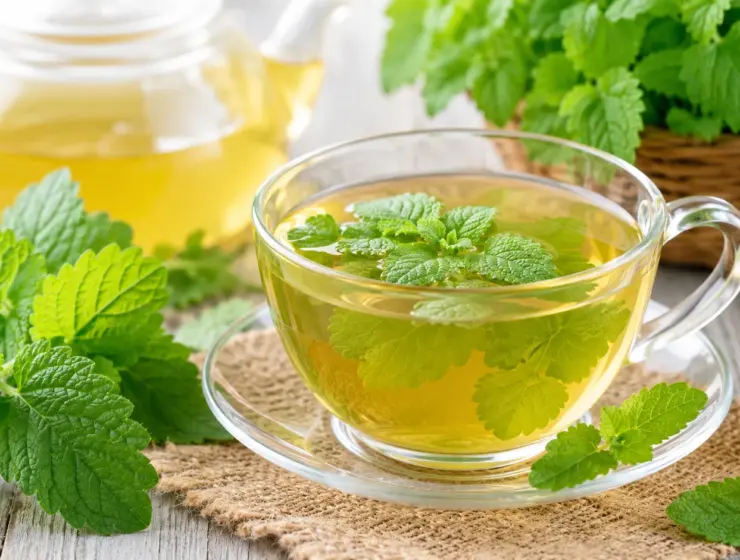 how To Make Lemon Balm Tea