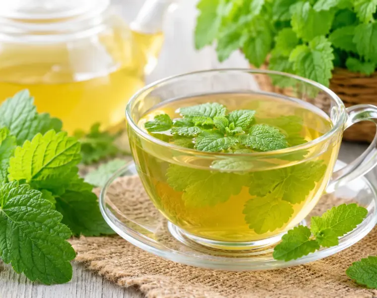 how To Make Lemon Balm Tea
